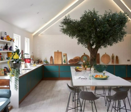 cuisine moderne pousser arbre