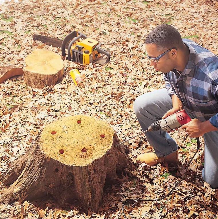 Comment se débarrasser des souches d'arbres rapidement sans stress