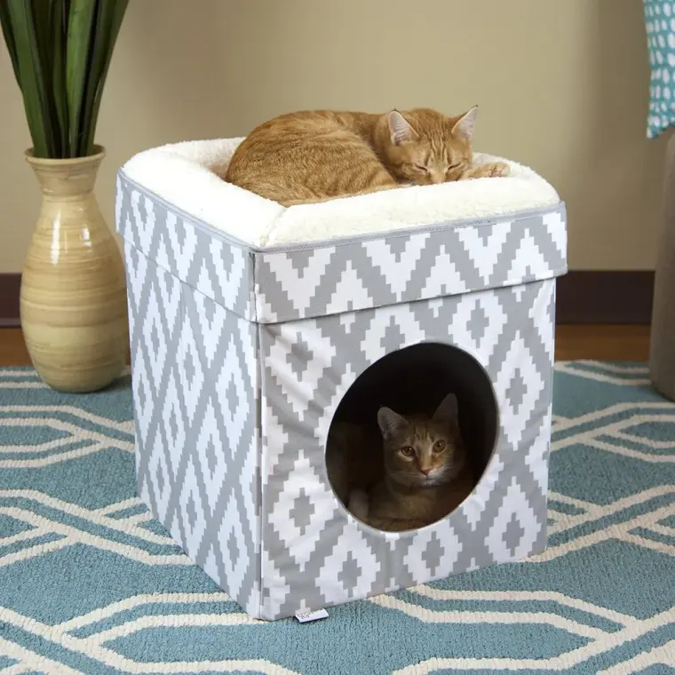 maison chat carton