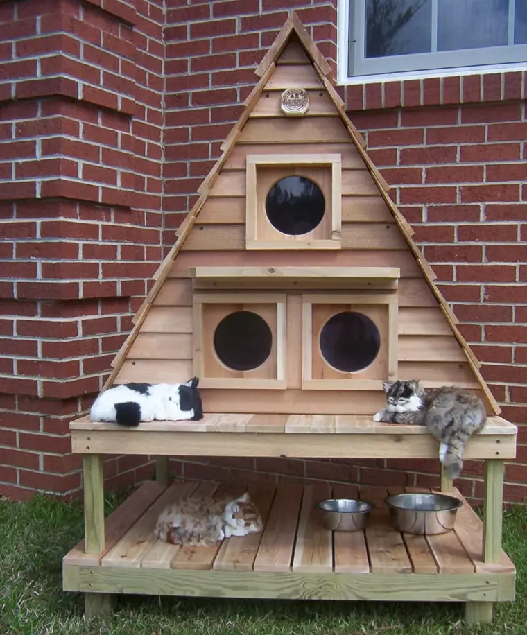 maison chaton construire