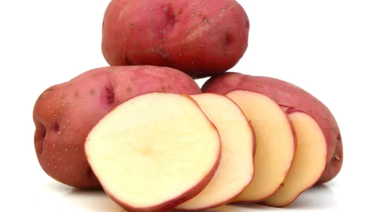 pomme de terre rouge patate rouge