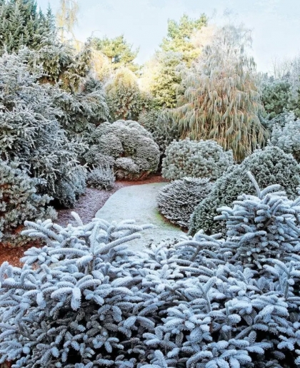 hiver au jardin