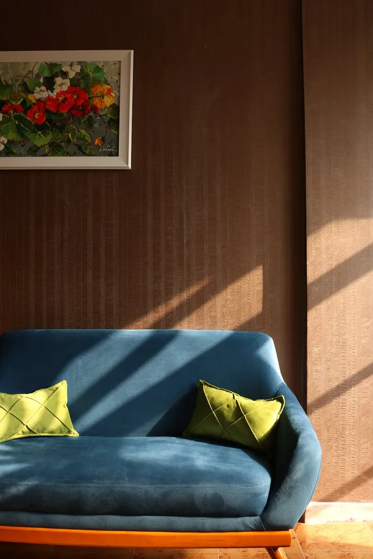 tendances couleur sofa 2023