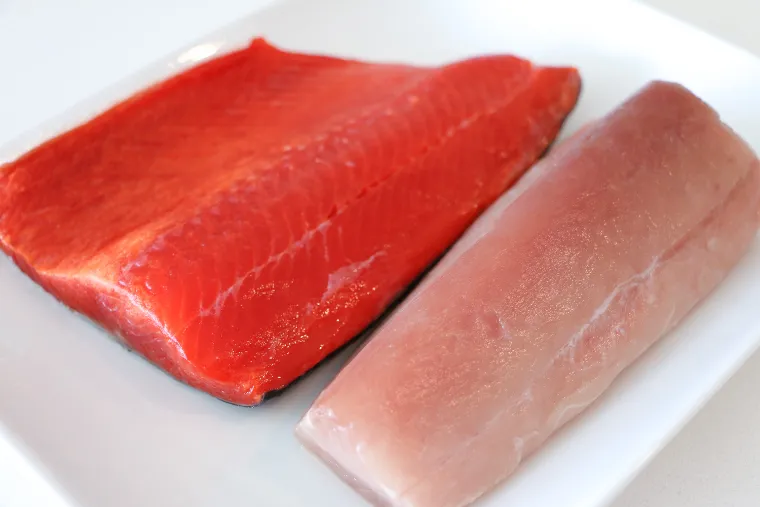 thon saumon poissons gras