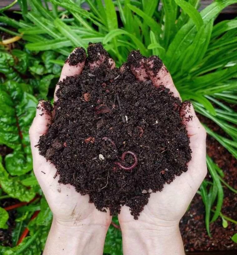 La loi compost obligatoire 2024 - Comment fabriquer un bac à composte