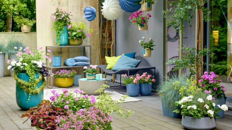 arranger pots terrasse palette couleurs