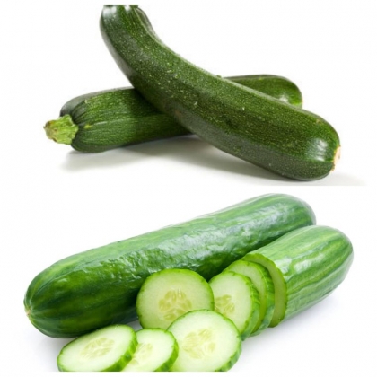 comment et quand semer le concombre et la courgette