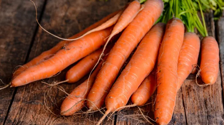 carotte bonne pour santé