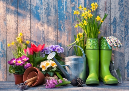 fleurs à planter en mars printemps 2023