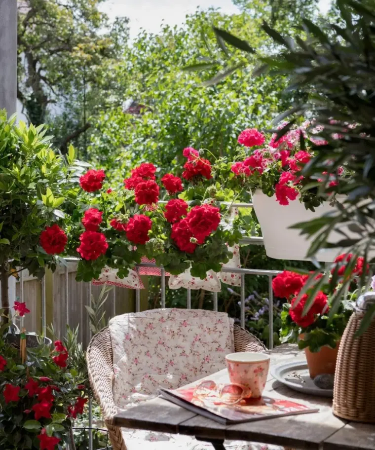 plantes pour balcon et jardinières printemps 2023