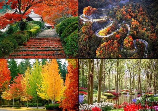 Belles couleurs automne nature