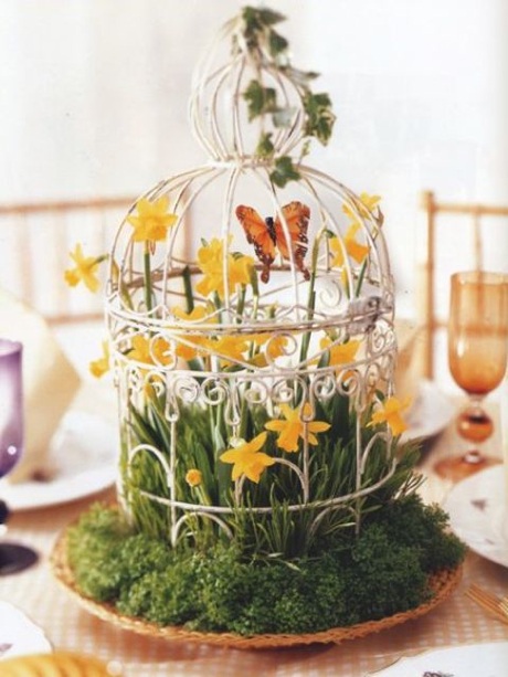 Cage de fleurs decoration