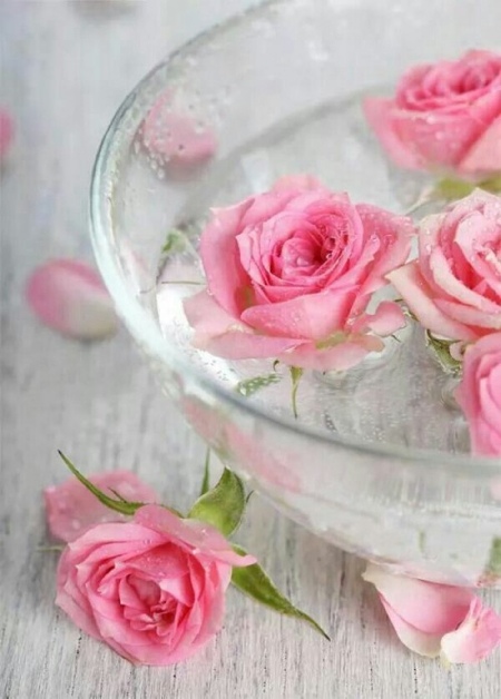 Roses bol eau