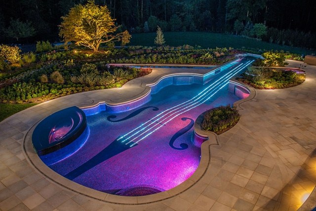aménagement piscine forme guitare