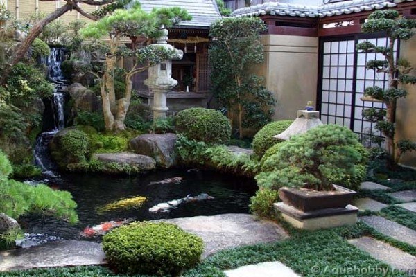 arbres buissons jardins japonais zen