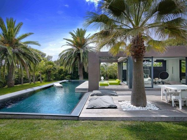 belle terrasse bois avec piscine et palmiers