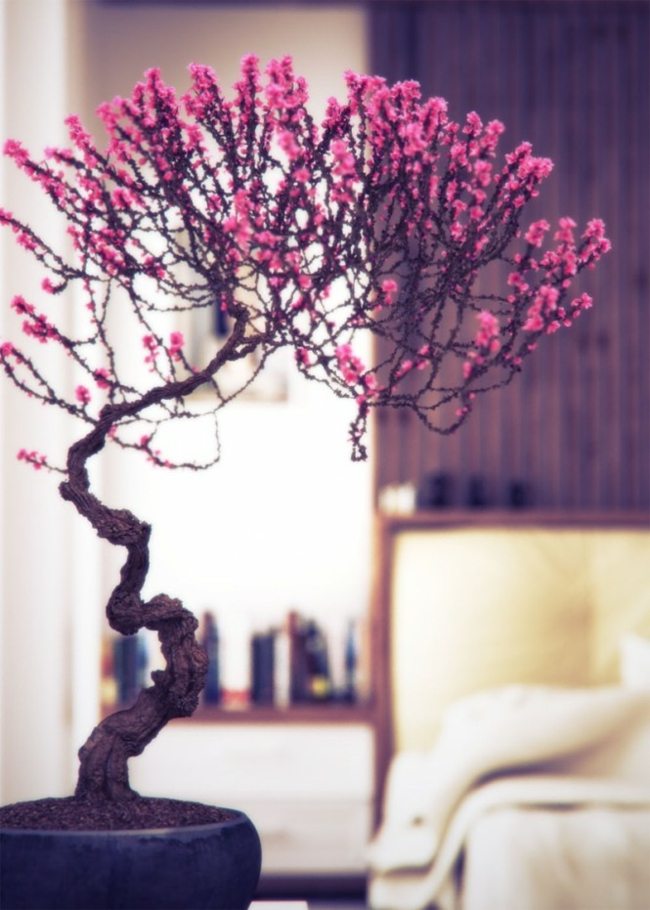 compositions avec bonsaï rose dans chambre