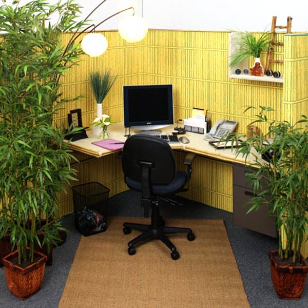 bureau plantes chaise aménagement ordinateur