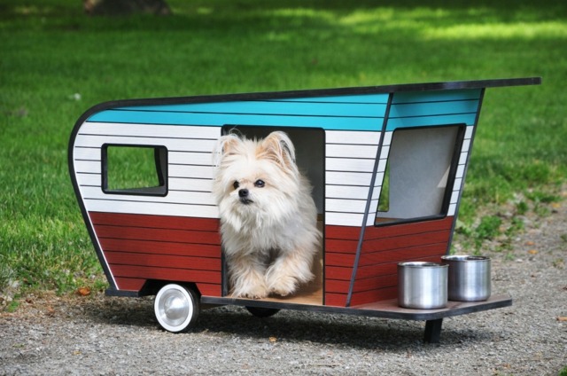caravne pour chien moderne idee