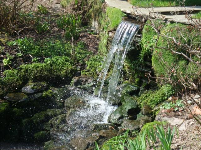 cascade jardin eau