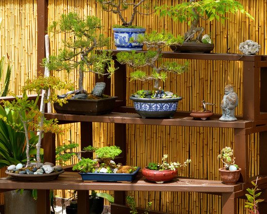 clôture en bambou design asiatique