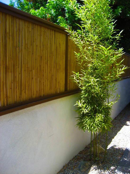 clôture bambou jardin