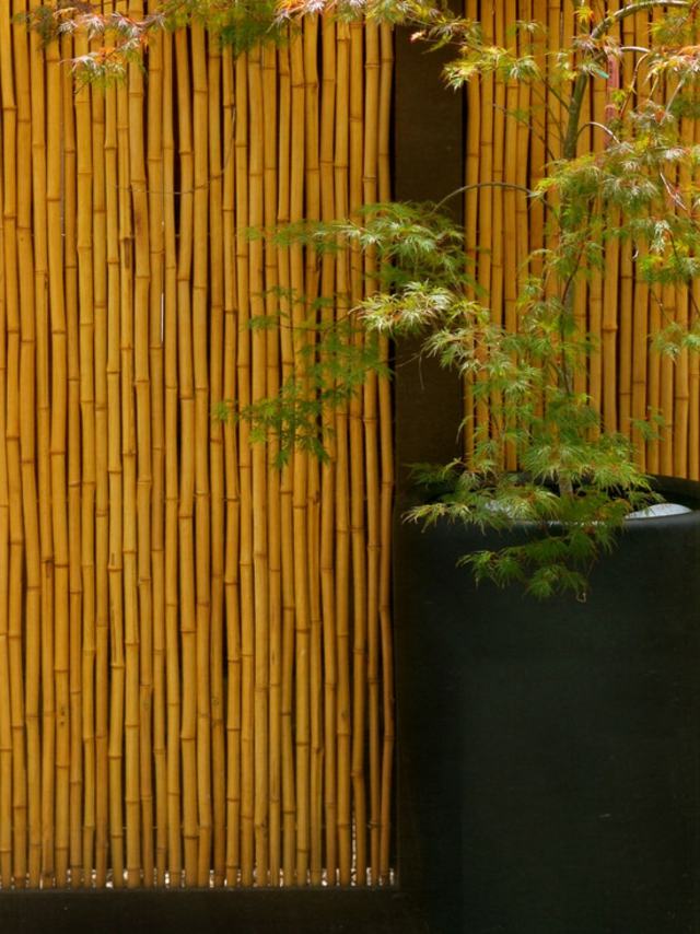 cloture jardin bambous design