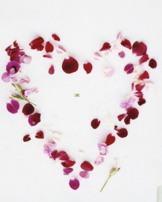 coeur en petales de roses