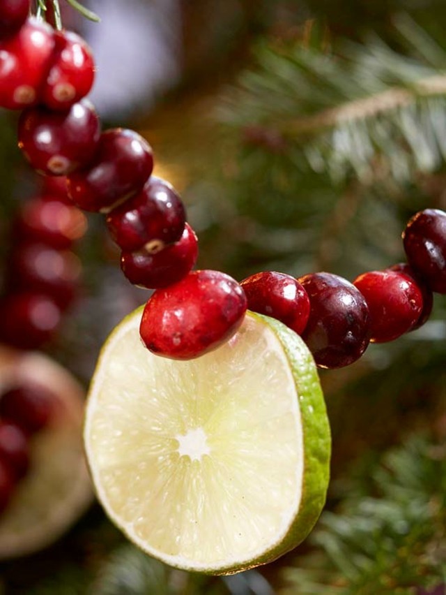 Décoration de Noël- guirlandes fruits rouges déco