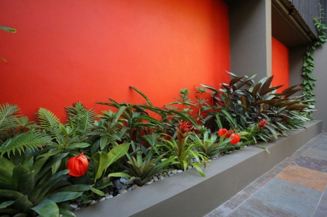 décoration jardin mur orange plantes