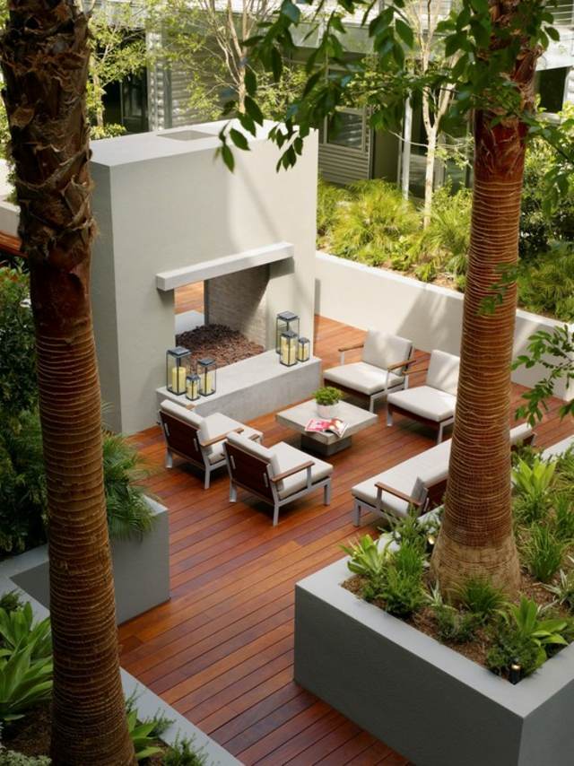décoration patio palmiers
