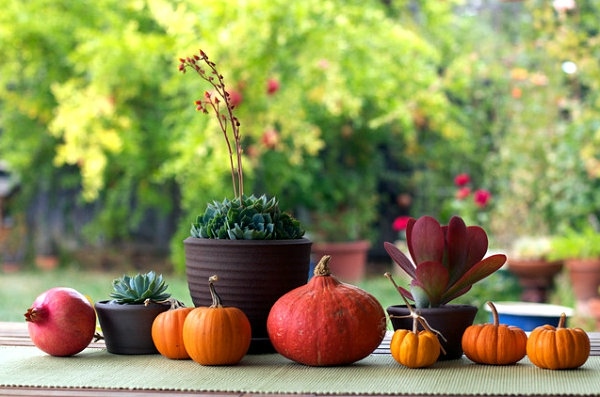 Simple déco table naturelle facile à intégrer à la maison automne saison