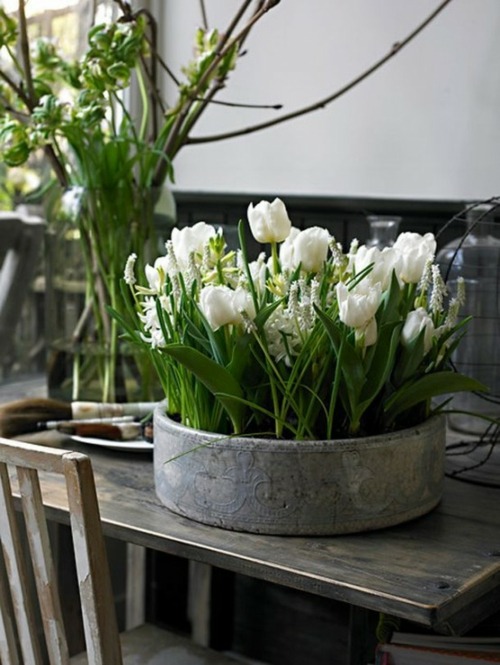 deco table tulipes