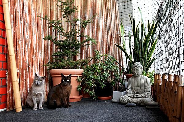 deux chats jardin pres bouddha
