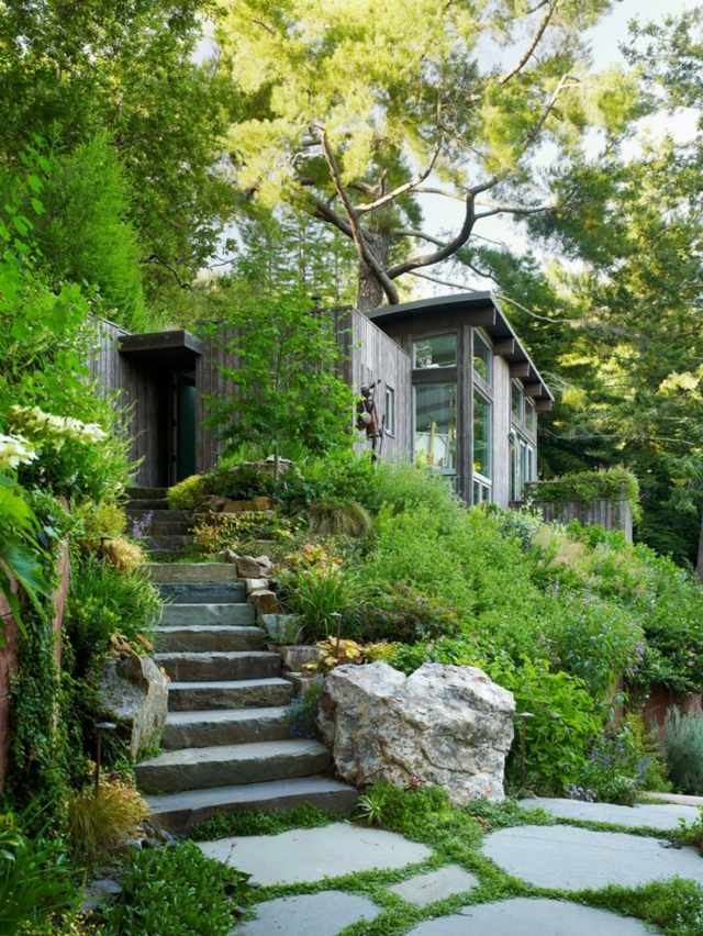 escalier-talus-pierre-jardin-vert-verdure-cabane-maison-bois-architecture-nature-foret