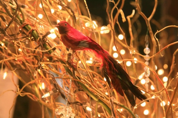 idée-déco-Noël-guirlandes-lumineuses-oiseau