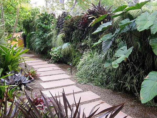 jardin contemporain avec mur végétal