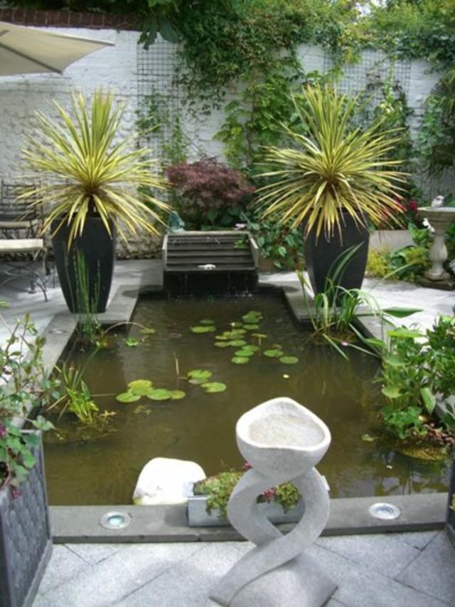 jardin eau design tropical