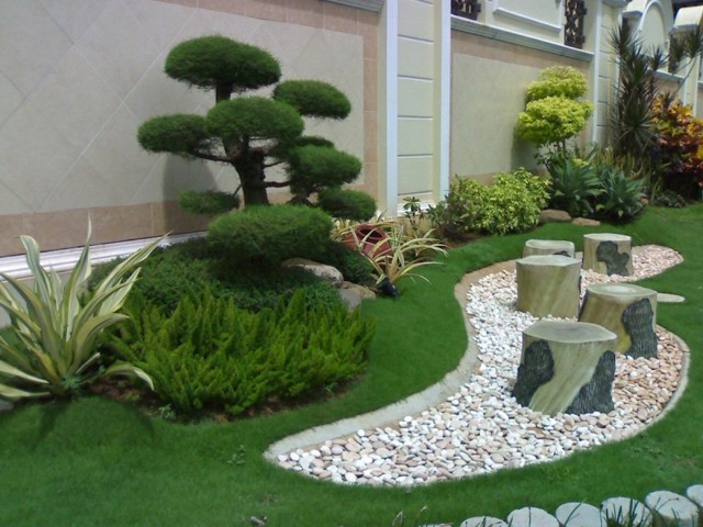 jardin moderne plantes exotiques