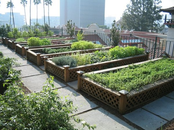 jardin sur le toit San Francisco