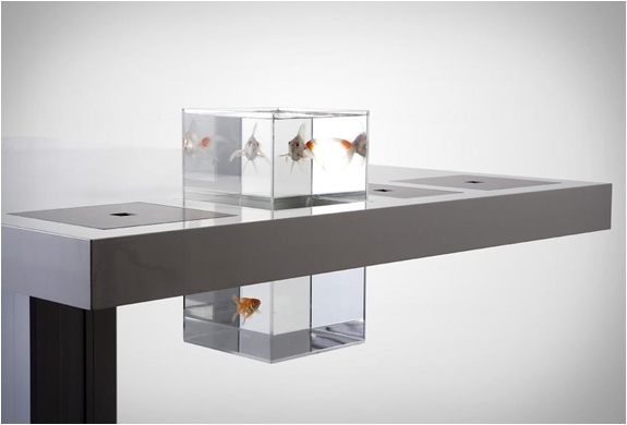 milk desk bureau design dalle epaisse aquarium