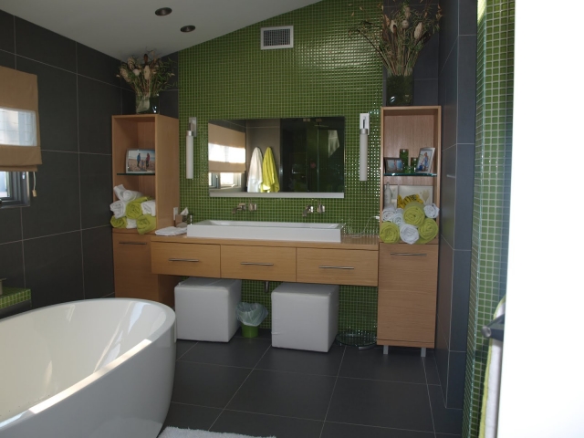 miroir-salle-de-bains-idée-originale-fond-vert-forme-rectangulaire