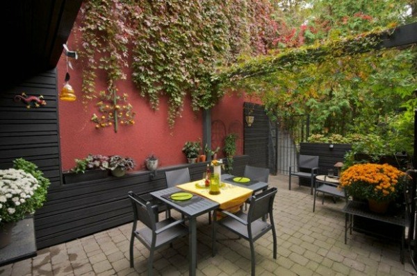 patio contemporain avec des vignes endroit idyllique