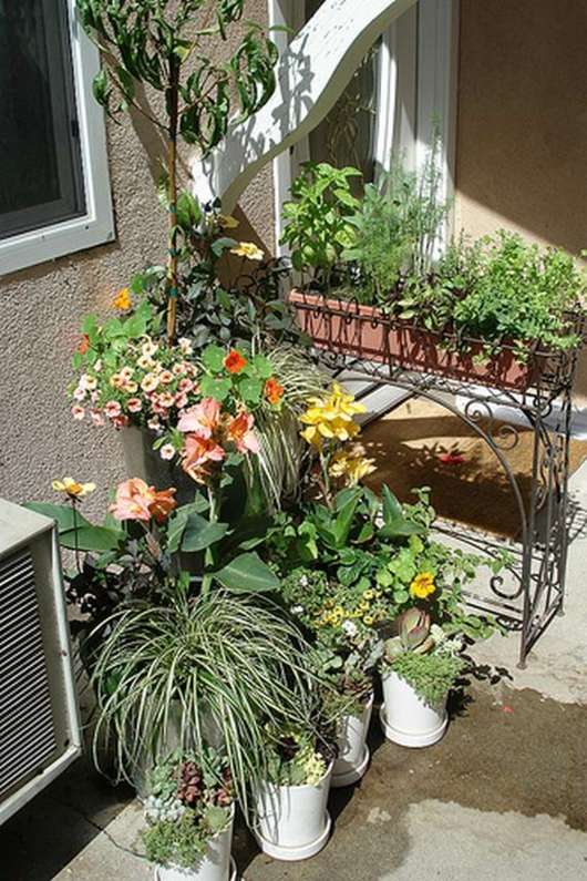petit jardin improvisé pots fleurs