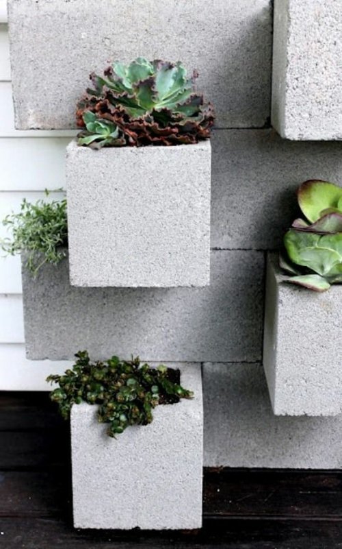 plantes succulentes pot fleur parpaing beton