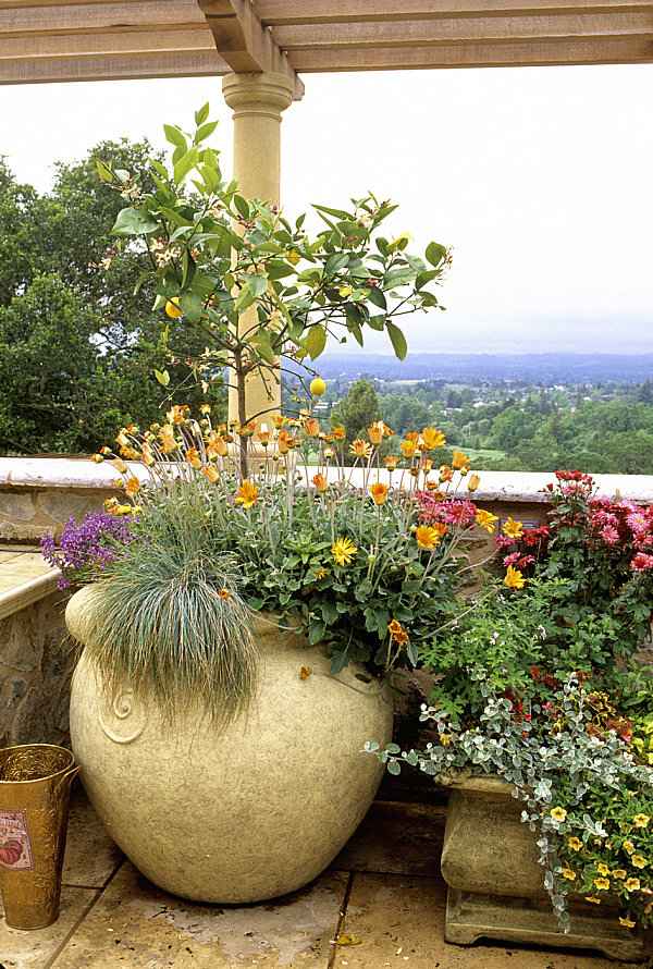 pots pierre balcon aménager jardin