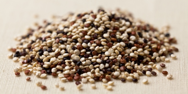 quinoa perdre poids astuces