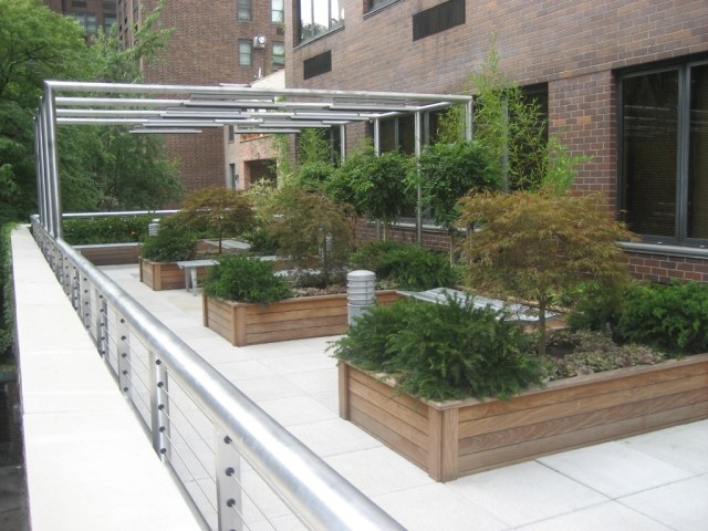 revêtement terrasse idée-originale-bankirai-végétation