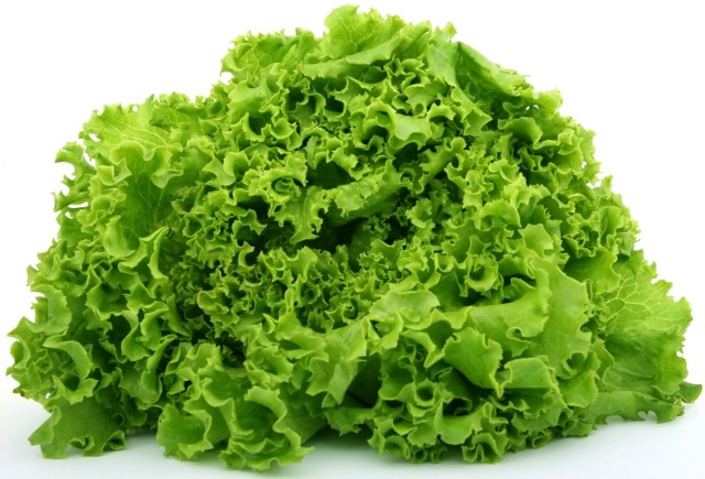 salade verte perte poids saine