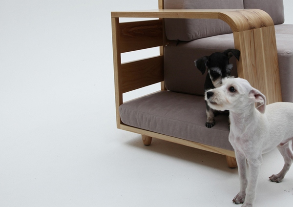 sofa pour famille espace chien